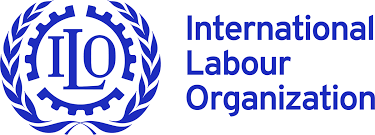 International labour organization